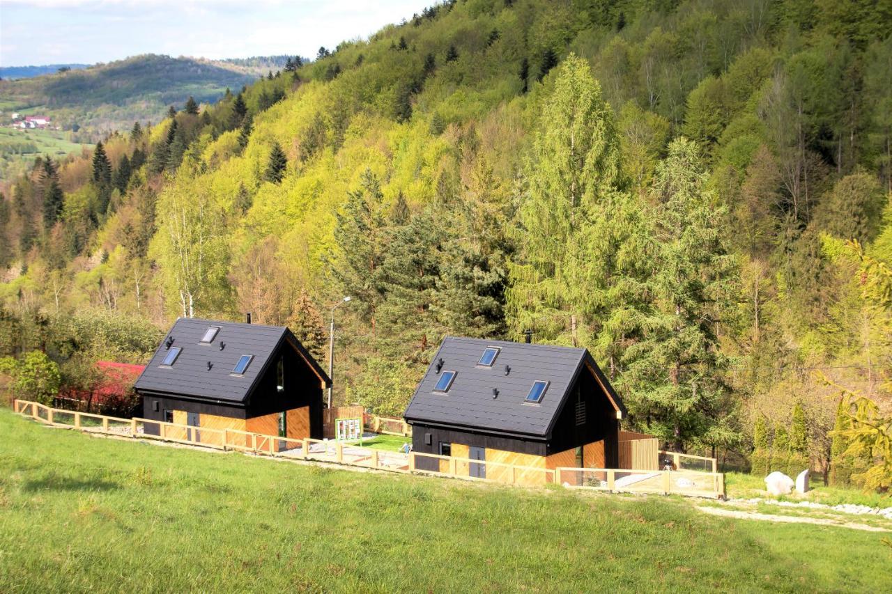 Projekt Swit - Domki Z Prywatna Jacuzzi I Sauna Zywiec Exterior photo