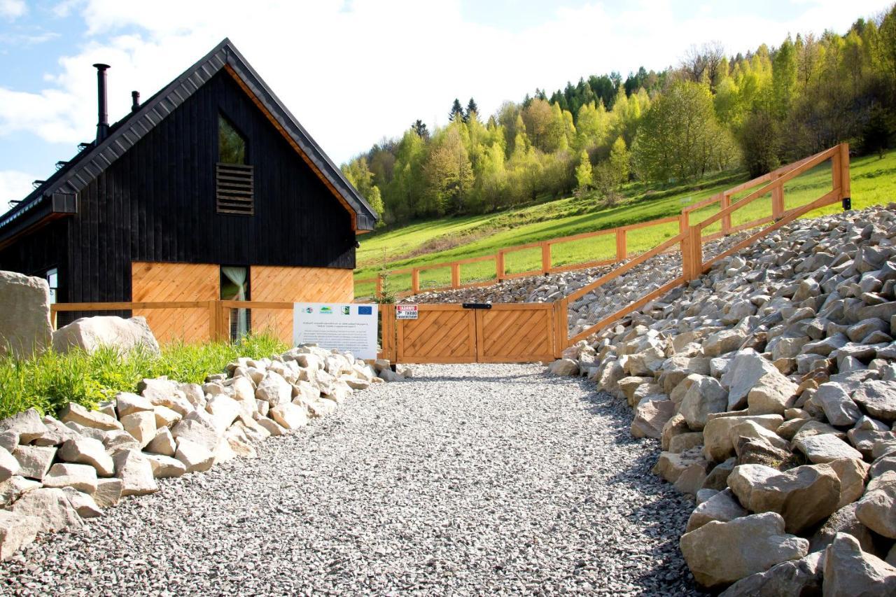 Projekt Swit - Domki Z Prywatna Jacuzzi I Sauna Zywiec Exterior photo